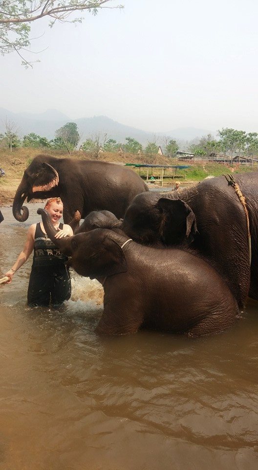 10303454_10101713398562408_7240884627060631975_n